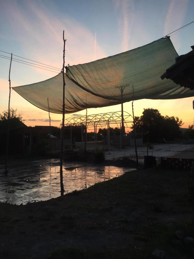 Anza Camping Shkodër Buitenkant foto