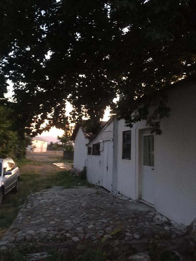 Anza Camping Shkodër Buitenkant foto