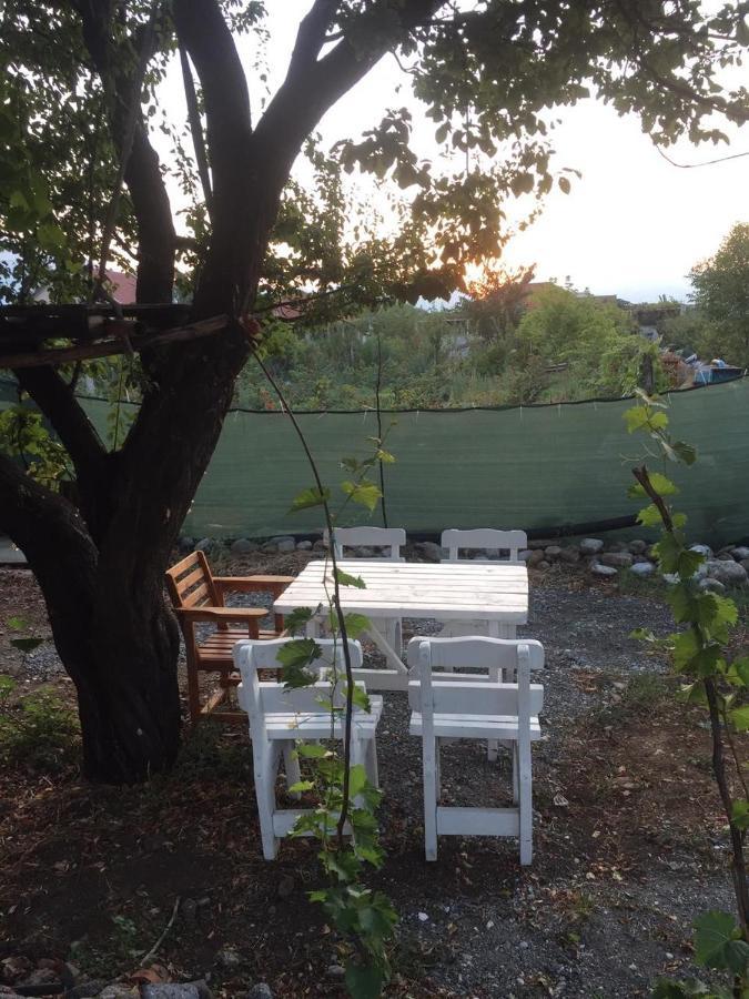 Anza Camping Shkodër Buitenkant foto