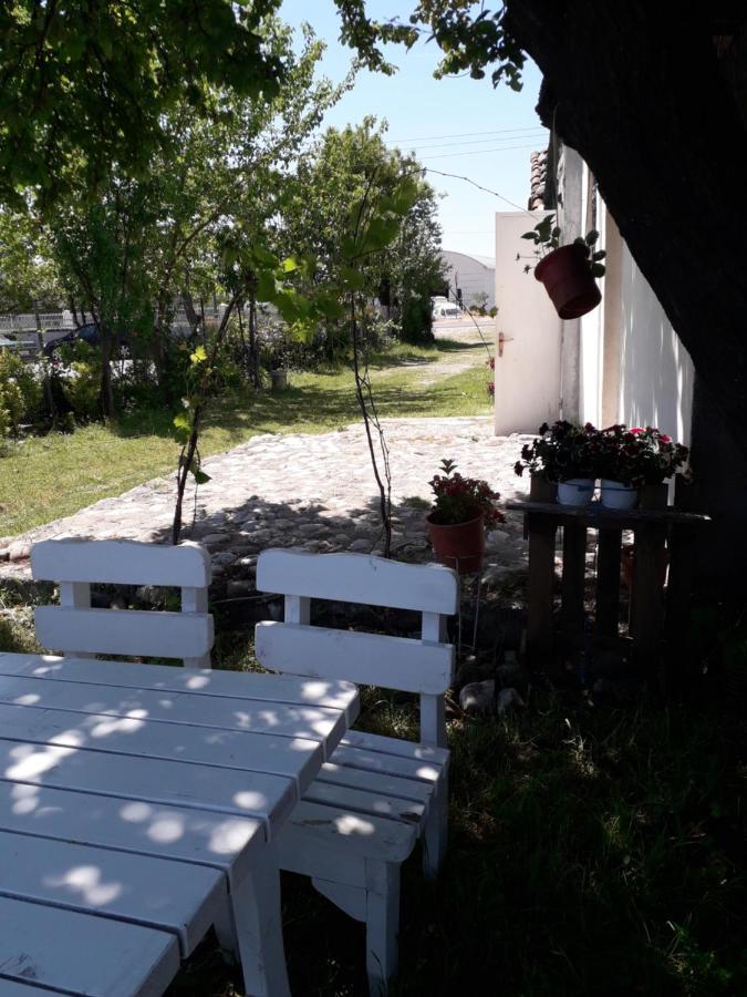 Anza Camping Shkodër Buitenkant foto