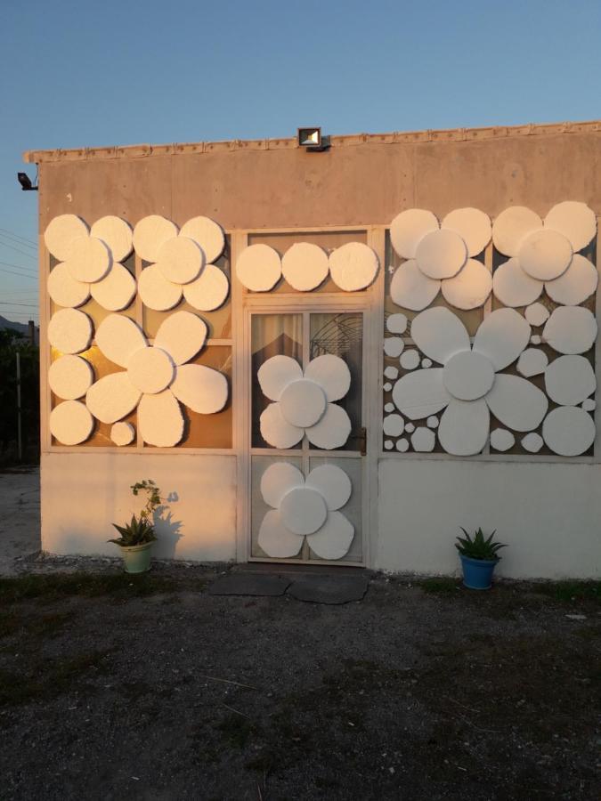 Anza Camping Shkodër Buitenkant foto